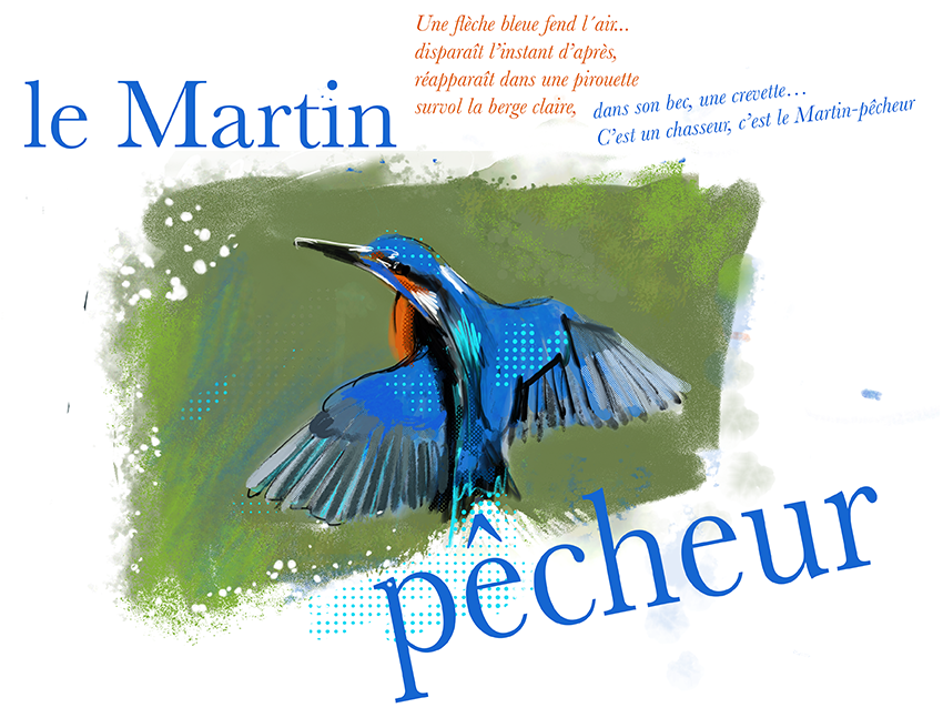 Martin pêcheur texte