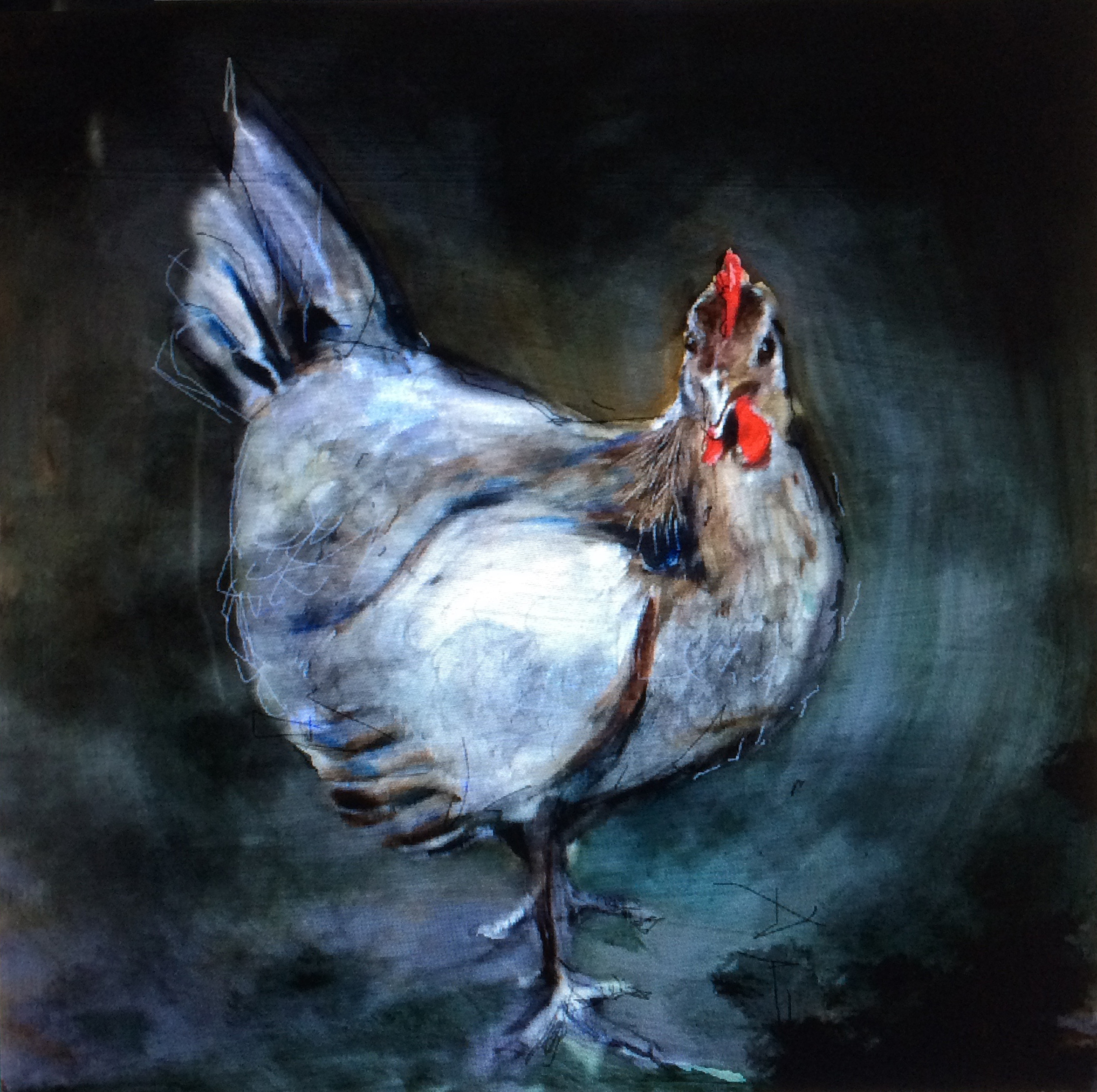 poule noire